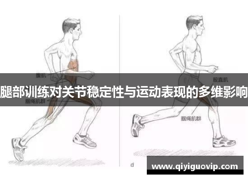 腿部训练对关节稳定性与运动表现的多维影响