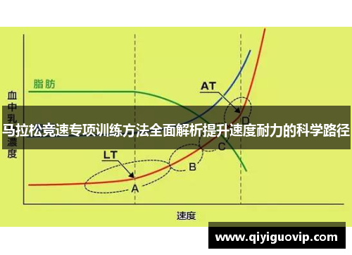 马拉松竞速专项训练方法全面解析提升速度耐力的科学路径